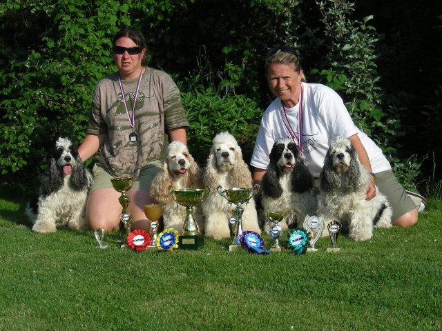 trest_2011