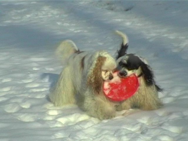 ve_dvou_se_to_lepe_tahne....